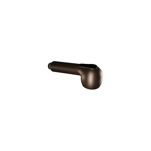 Pullout Spout